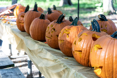 Pumpkins
